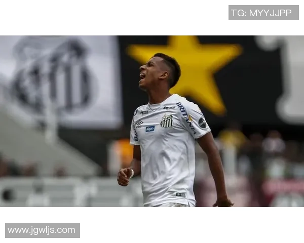 足球袖套的创新设计与功能解析助力运动员提升竞技表现